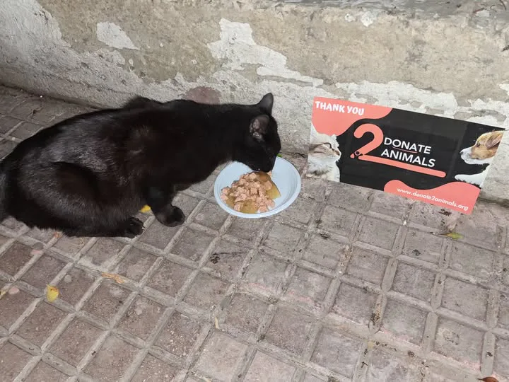 Withdraw Bitcoin in Zimbabwe to help pets