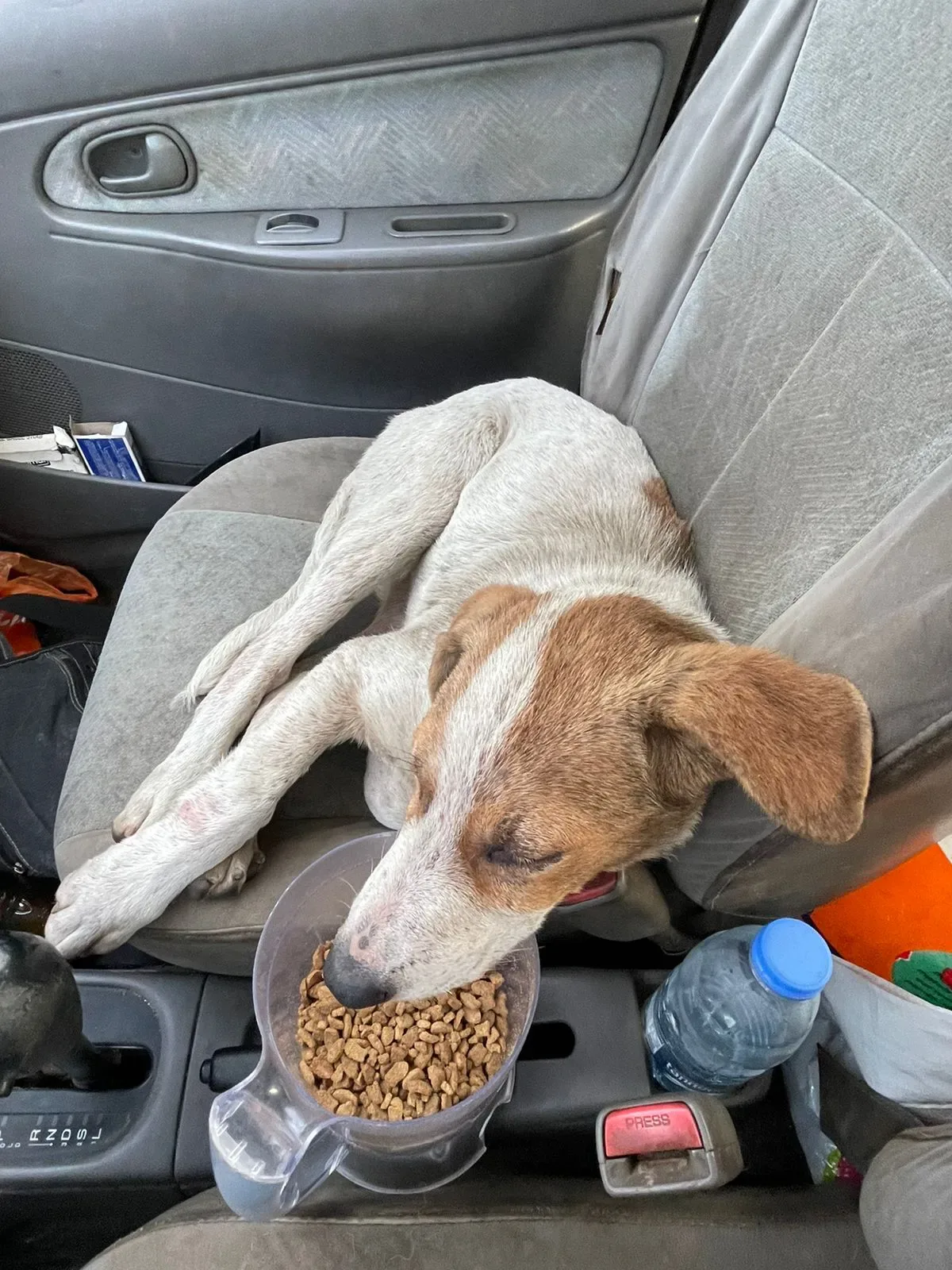 Is it safe to donate TRX from Zimbabwe to help injured dogs?