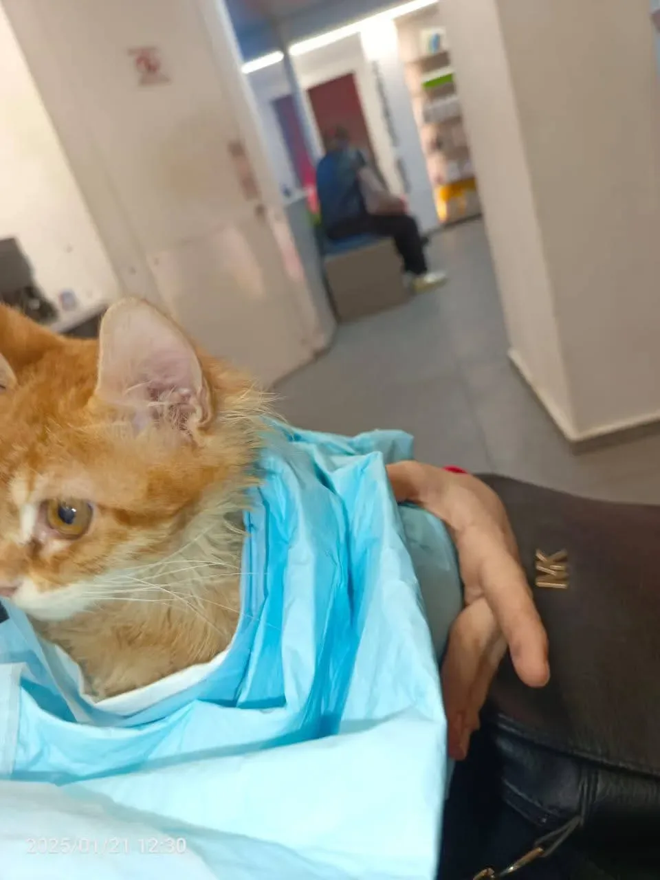 Donate 2Animals — animal in our care