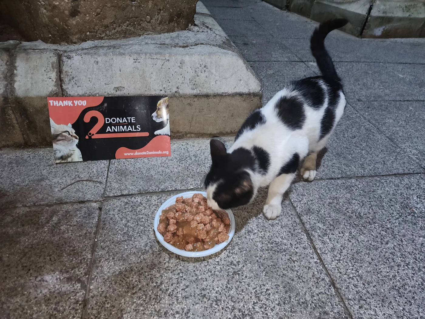 How to donate Bitcoin to life-saving operations for pets