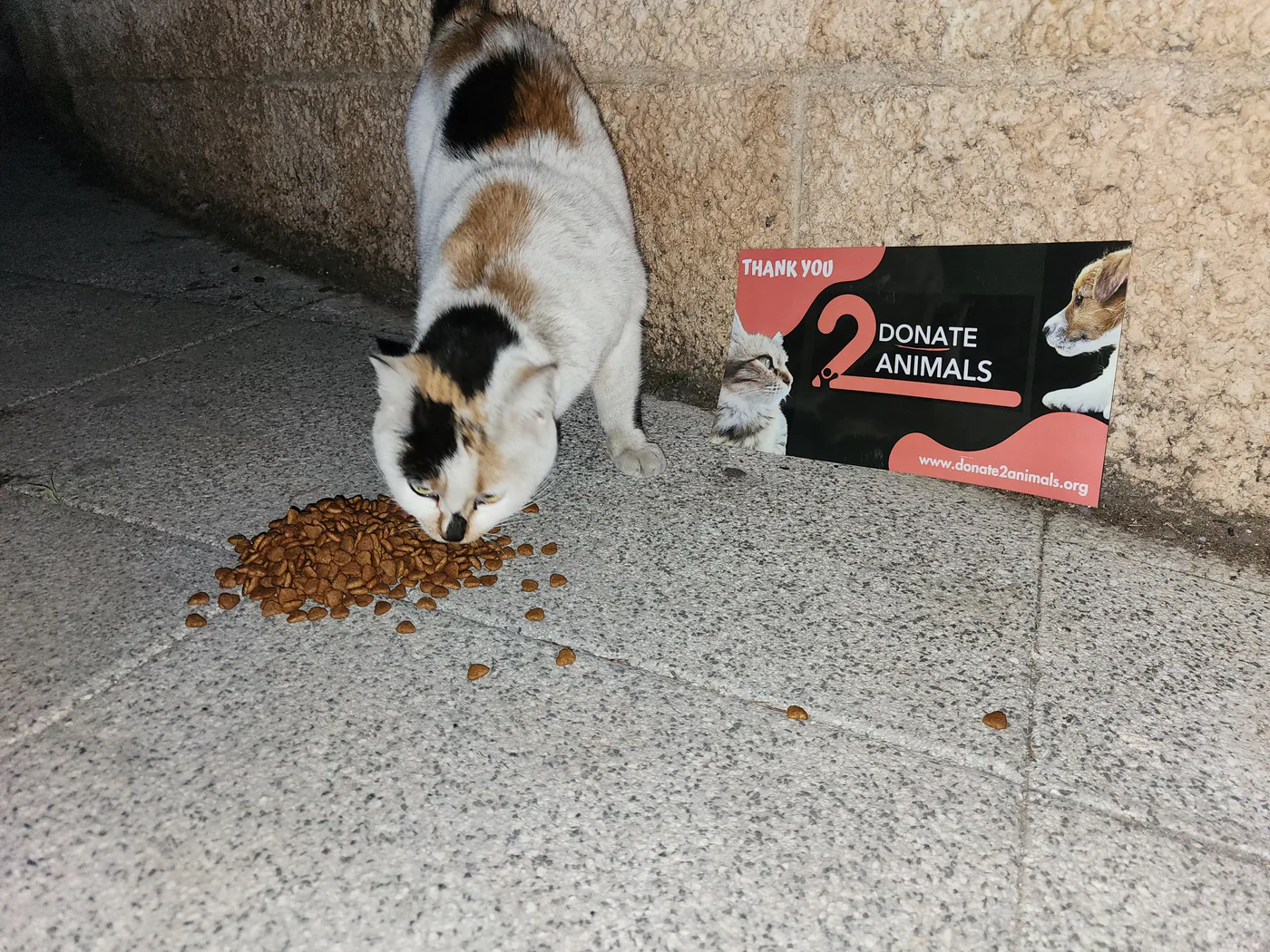 How to donate crypto to life-saving operations for pets