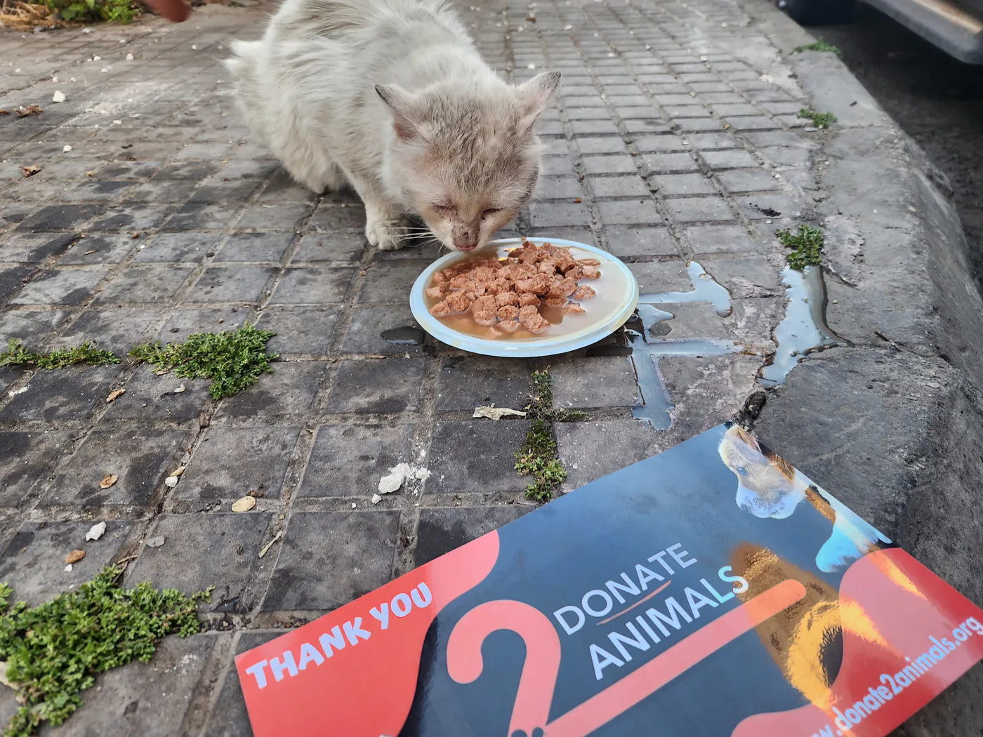 Withdraw Ethereum in Zimbabwe to help pets